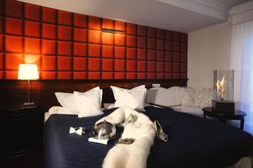 Фото номера Двухместный номер с 1 кроватью или 2 отдельными кроватями Отель Hotel Imperium г. Хелмжа 31